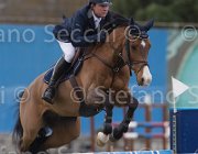Lever Da Vinci's Pride TosTour 2013- S5 7285 : Arezzo Equestrian Centre, Da Vinci's Pride, Lever Philip, Toscana Tour 2013, foto di Stefano Secchi ©